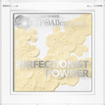 Пудра Perfectionist Powder HypoAllergenic Bell №1 