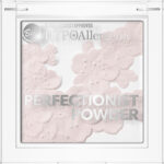 Пудра Perfectionist Powder HypoAllergenic Bell №2 
